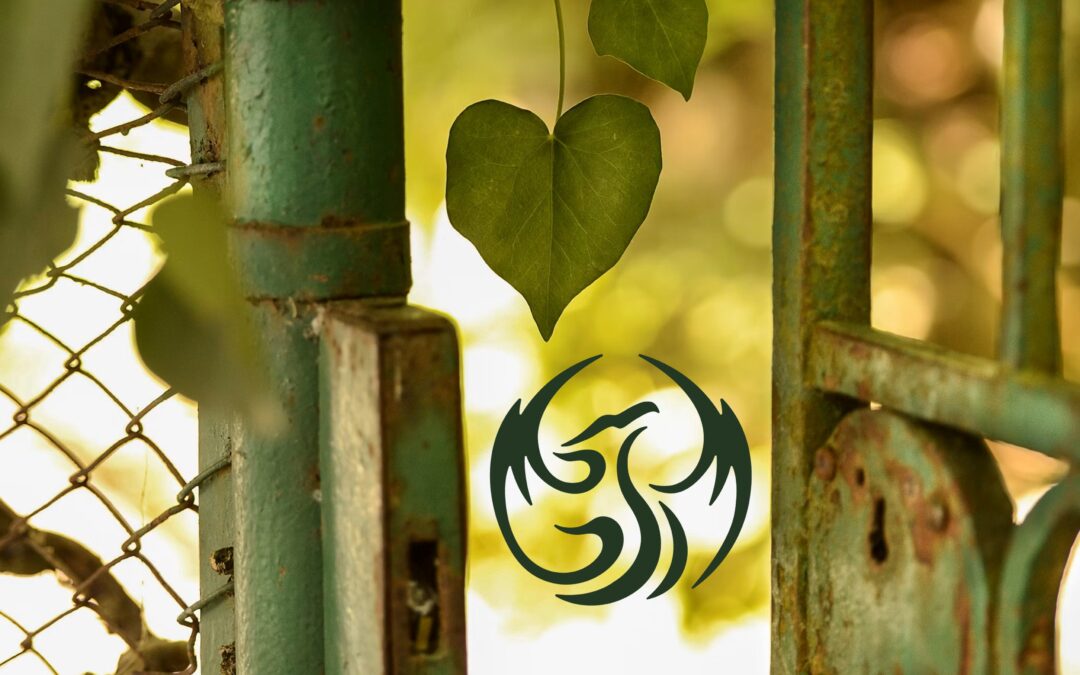 Meeting your Wise Elder