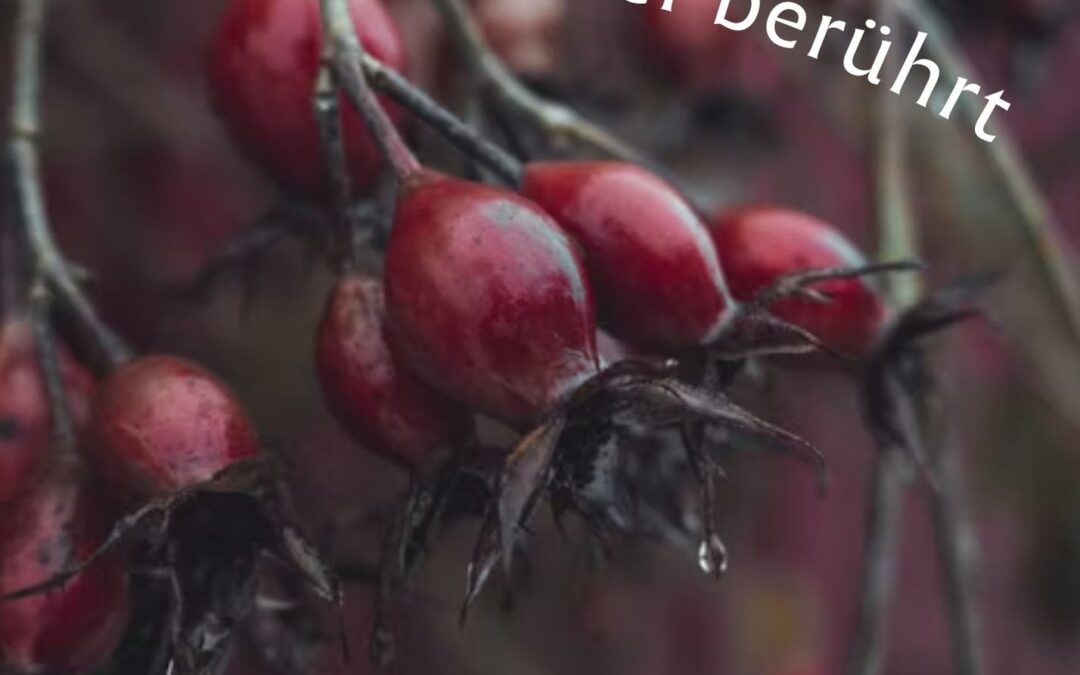 Frauenretreat „Vom Wechsel berührt“